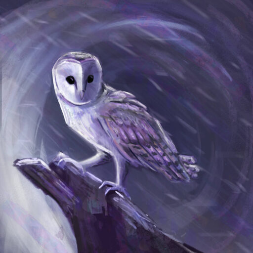 Home 2 cropped Owl 1 Zarina Motovilov