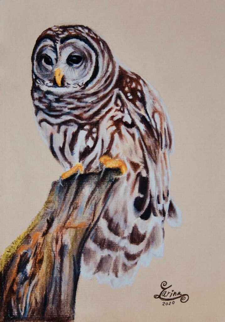 OWL 100 Zarina Motovilov