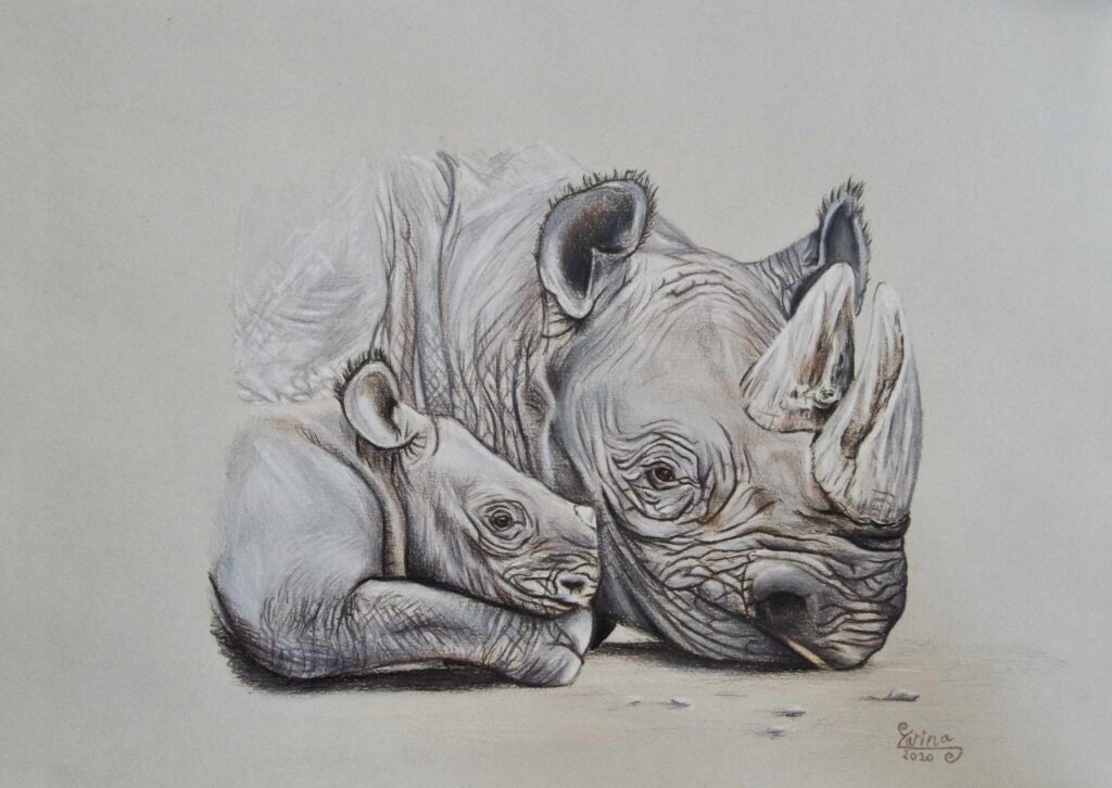 Rhinos 150 Zarina Motovilov