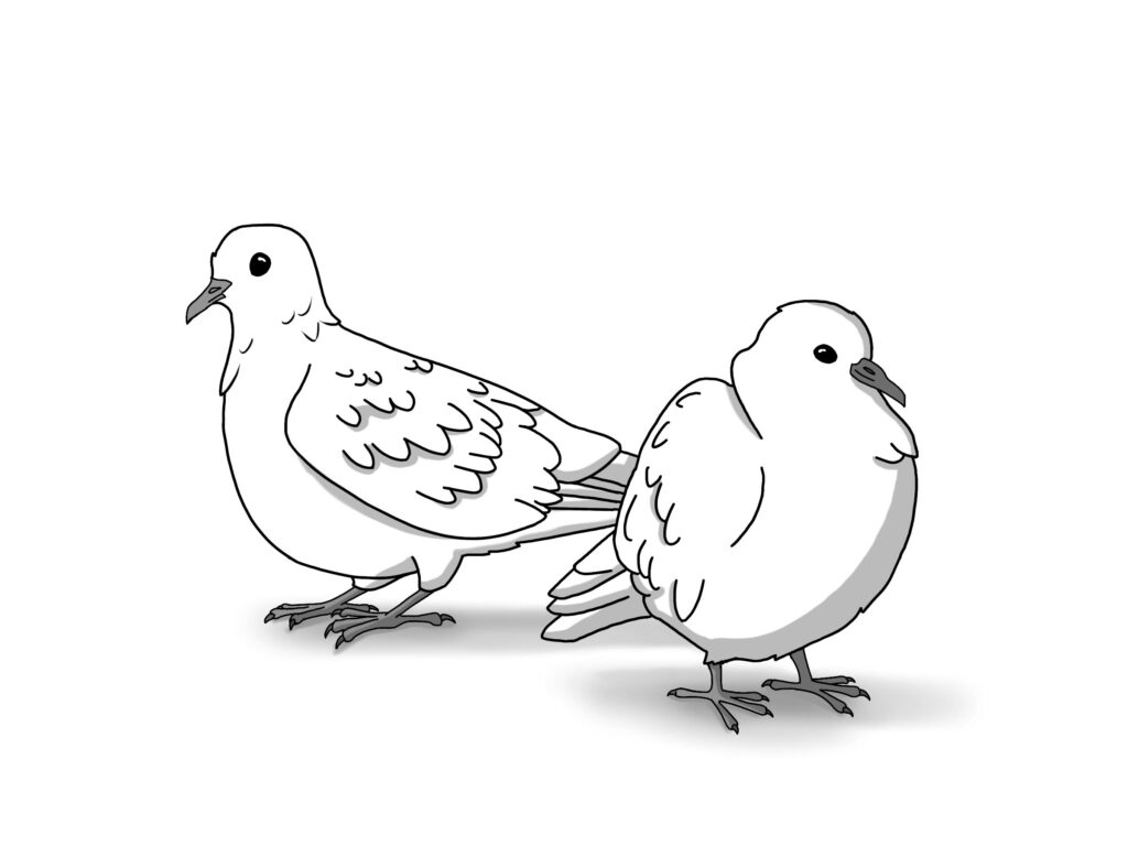 Pair Of Pigeons Pair Of Pigeons100 Zarina Motovilov