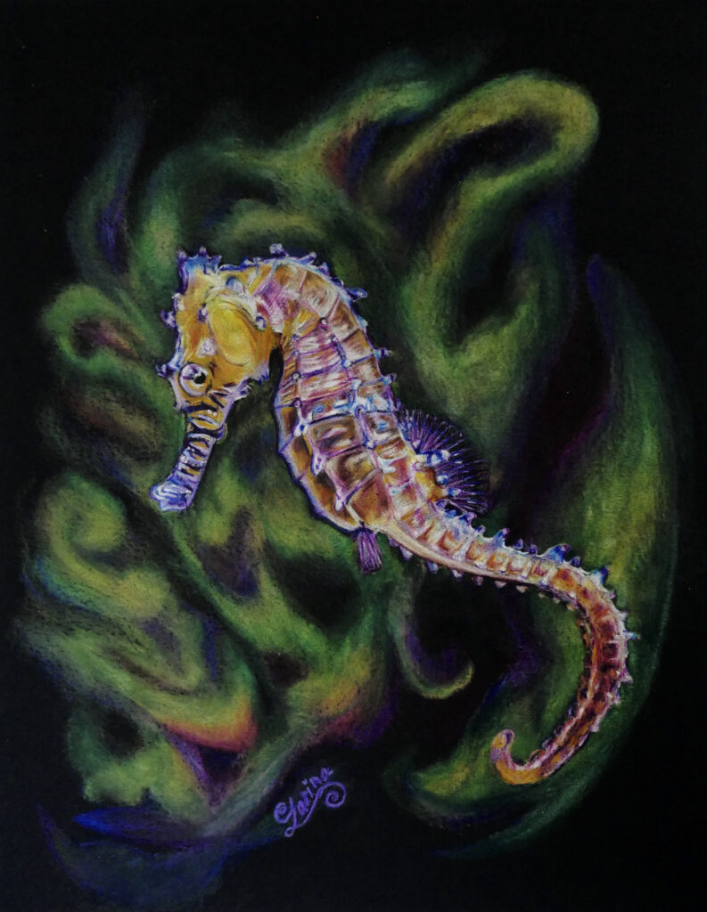 Seahorse100 Zarina Motovilov