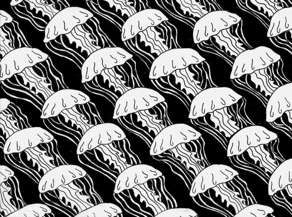 BW jellyfish 72 Zarina Motovilov