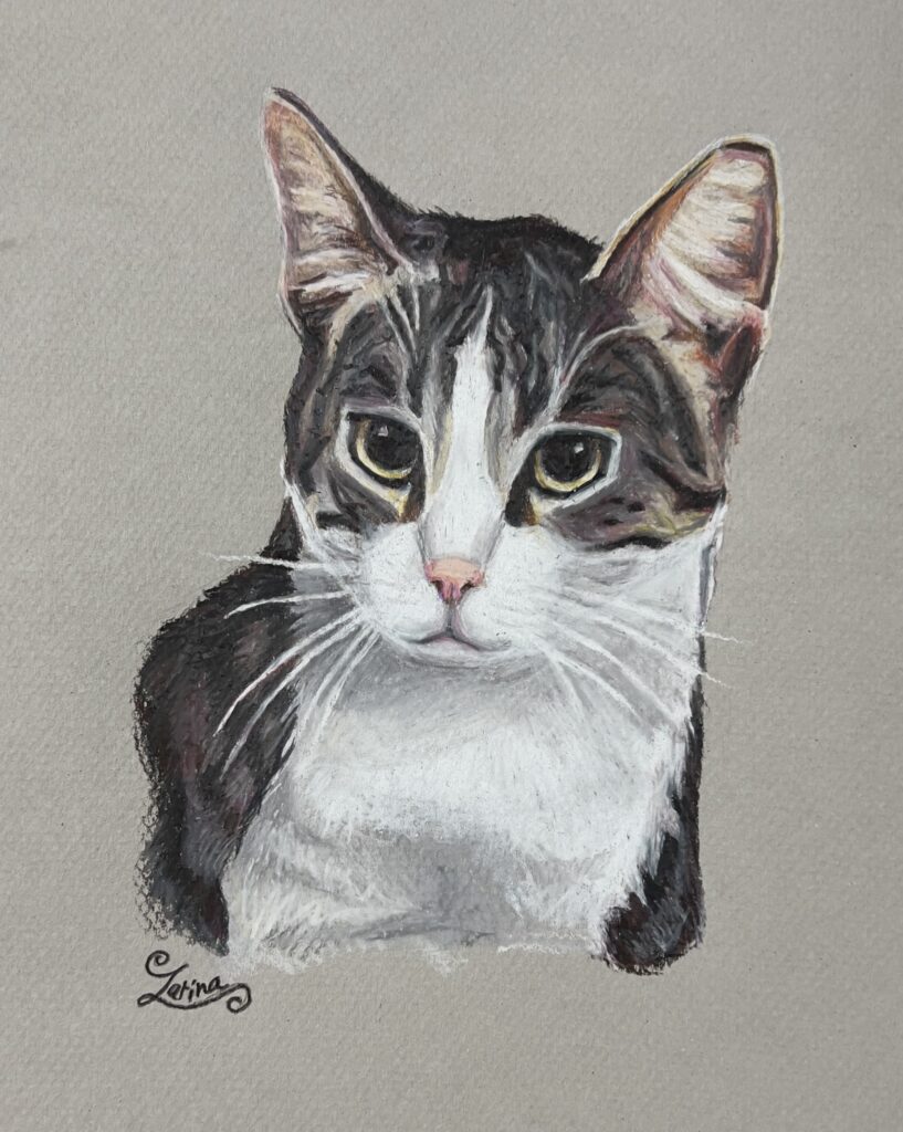 Cat 1 72 Zarina Motovilov