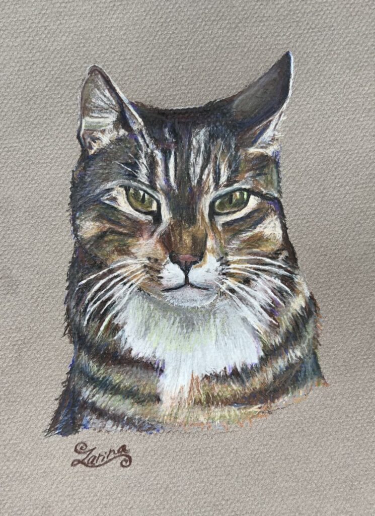Cat 3 72 Zarina Motovilov