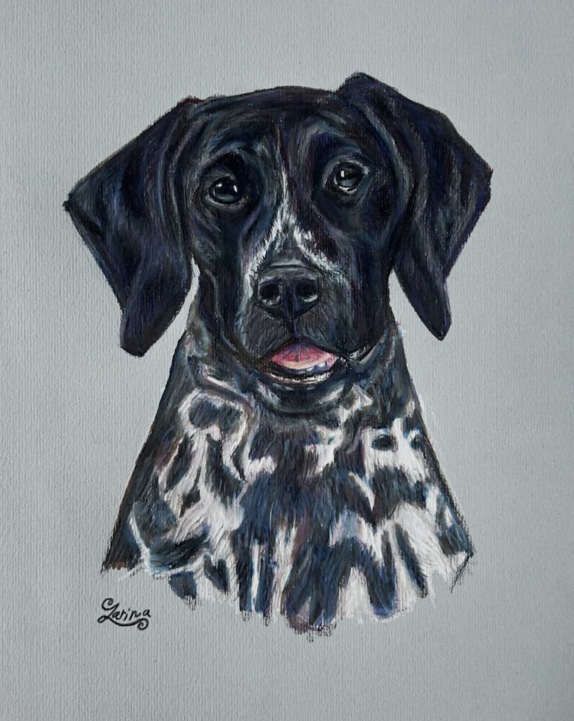 Dog 1 72 Zarina Motovilov