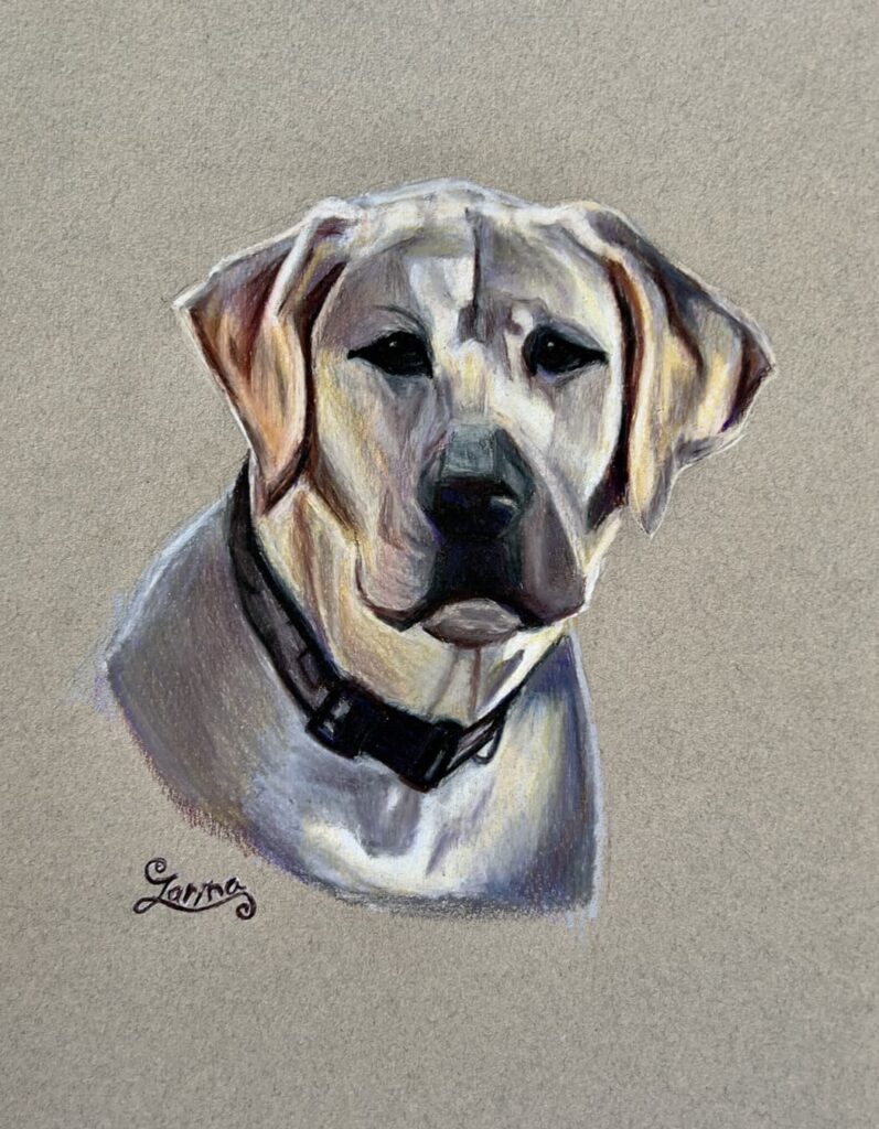 Dog 2 72 Zarina Motovilov