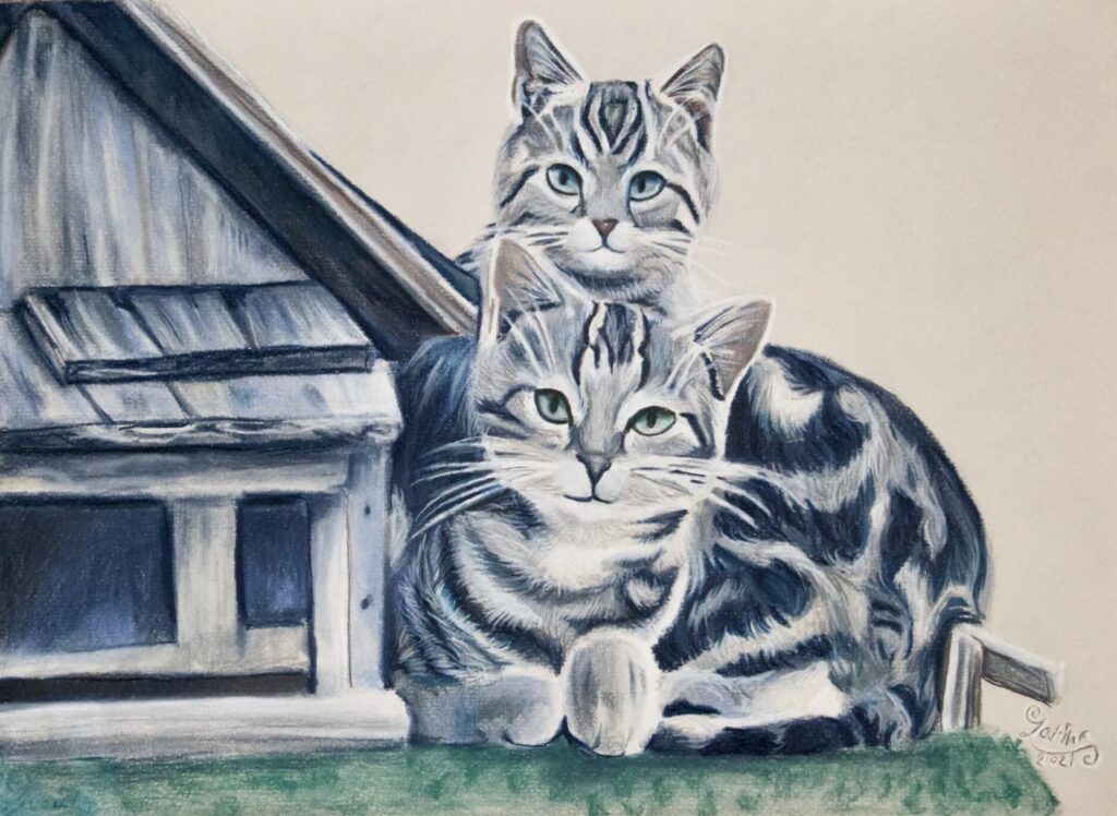 cats and birdhouse 72 Zarina Motovilov